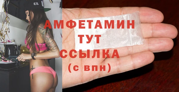 индика Гусев
