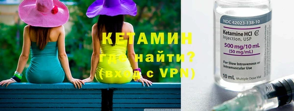 индика Дмитриев