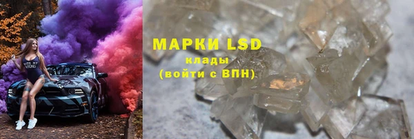 индика Дмитриев