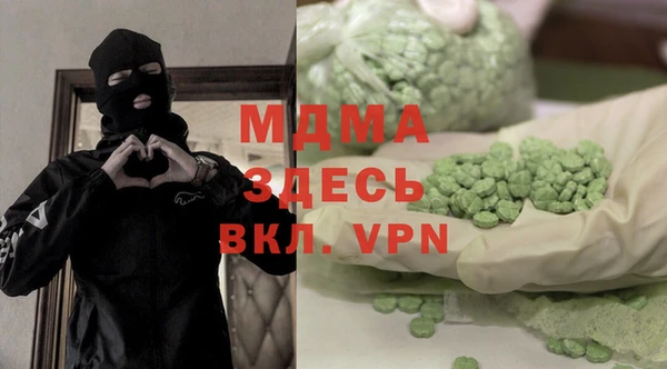 индика Гусев