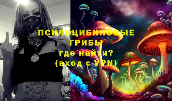 альфа пвп Гусиноозёрск