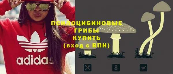 MESCALINE Гусь-Хрустальный