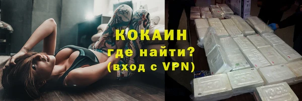 индика Дмитриев