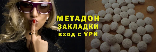 индика Дмитриев