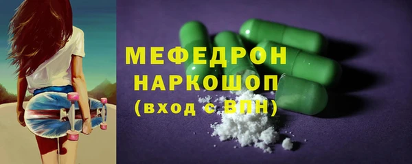 индика Гусев