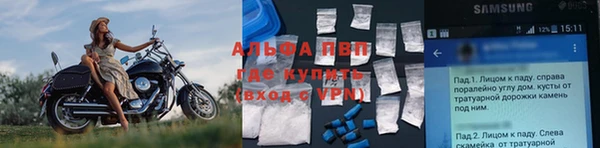 индика Гусев