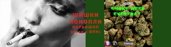 индика Гусев