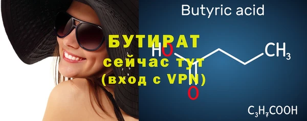 индика Гусев