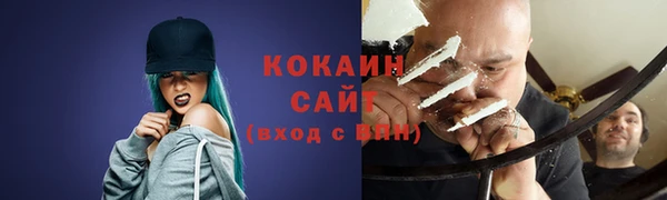 индика Гусев
