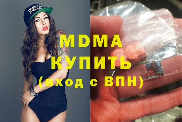 индика Гусев