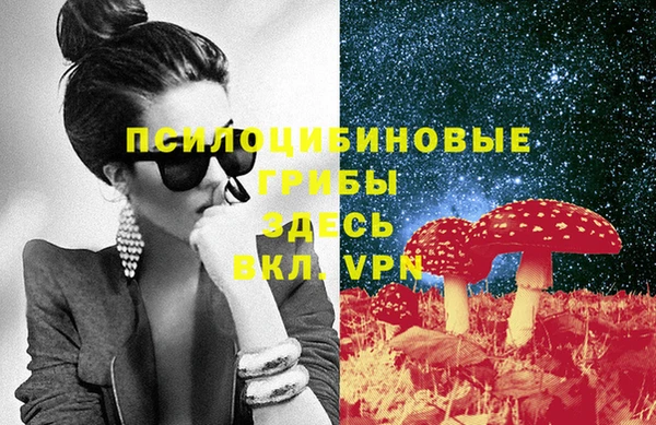 индика Дмитриев