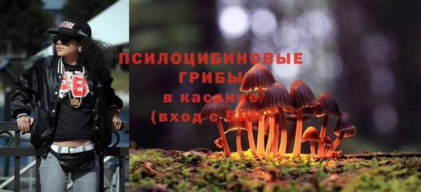 дмт Дмитров