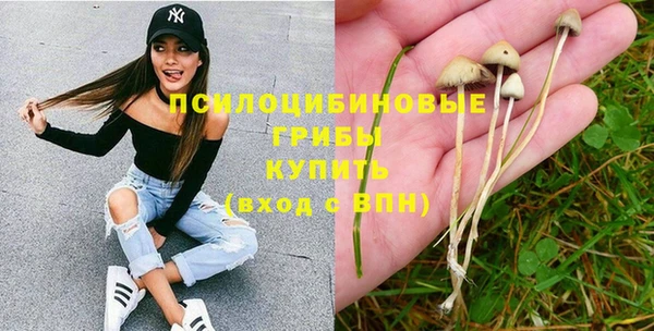 дмт Дмитров