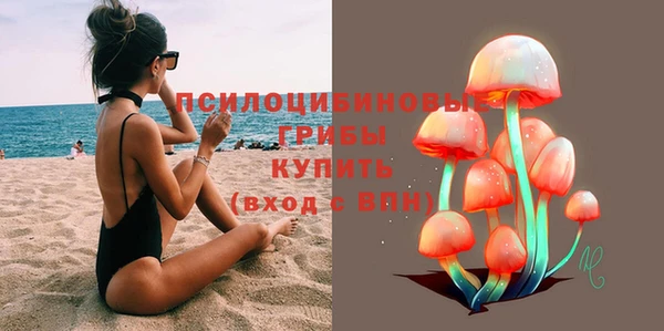 амф Дмитровск